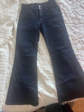 Express Black Flared Wide-Leg Jeans